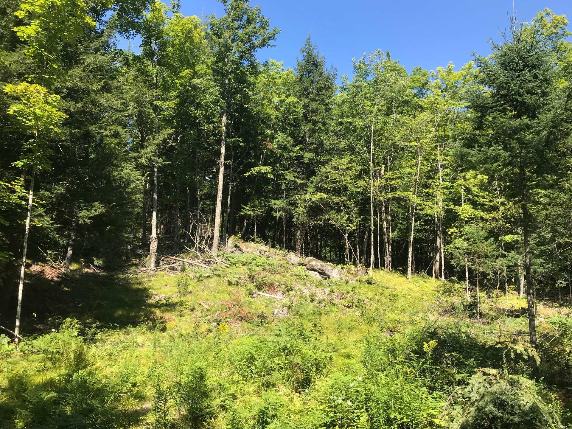 












Route 303

,
Thorne,







QC
J0X2A0


