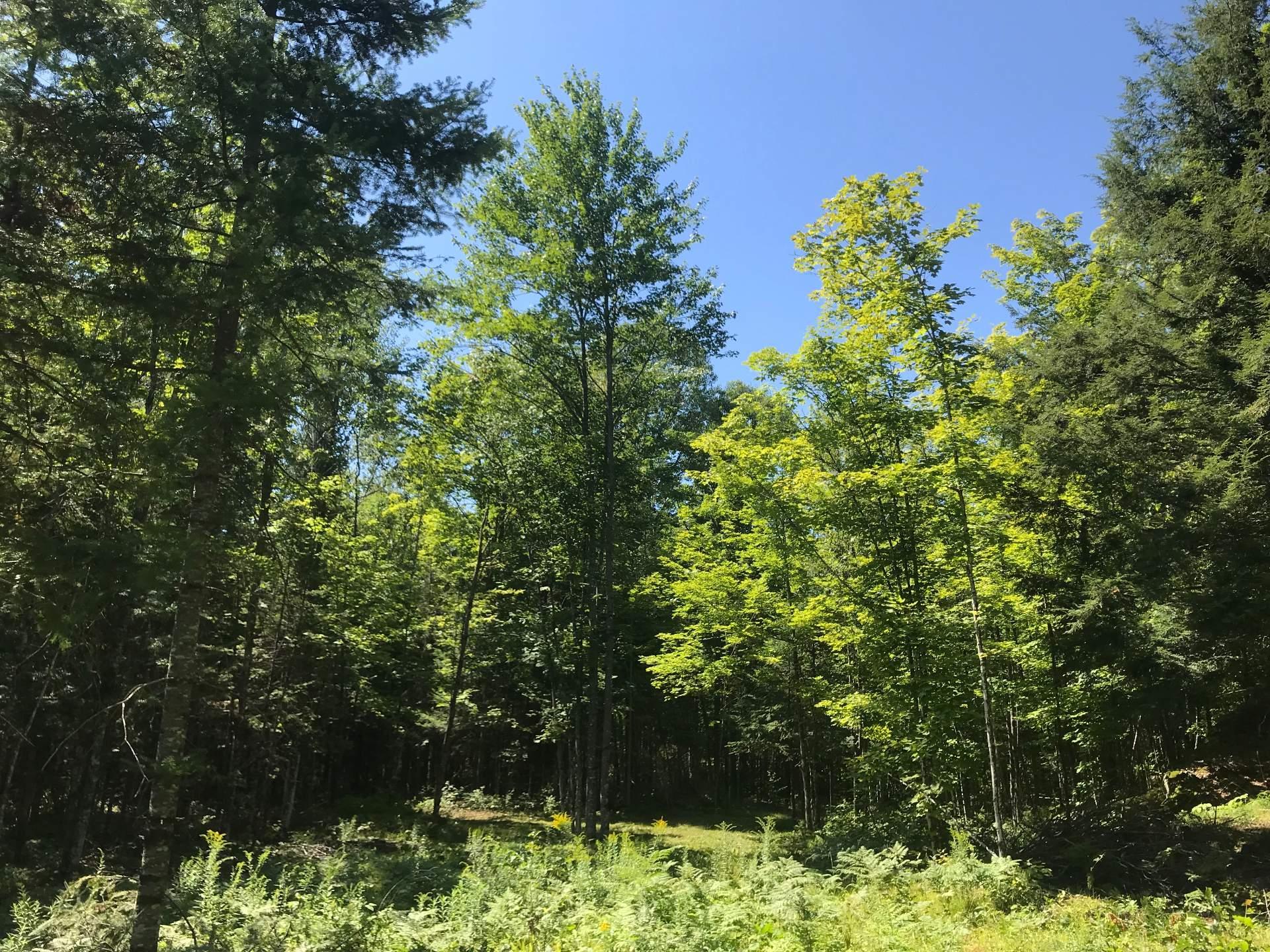












Route 303

,
Thorne,







QC
J0X2A0

