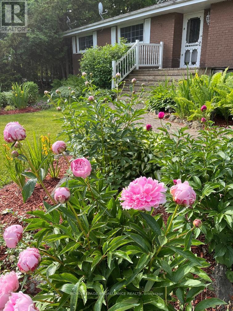 












67 LAFFERTY ROAD

,
Quinte West (Murray Ward),




Ontario
K8V5P7

