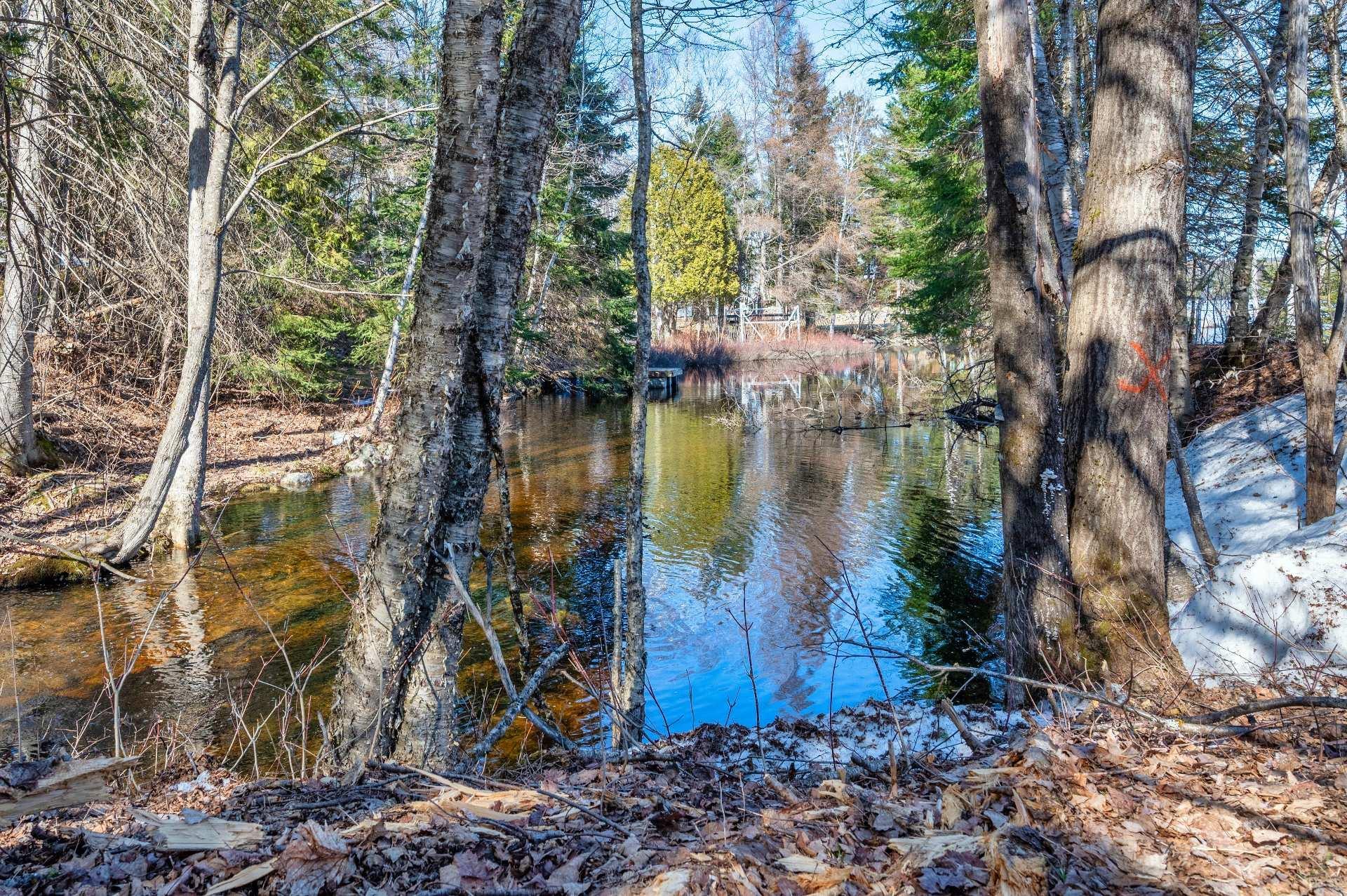 









1636


Ch. du Lac-Chaud

,
La Macaza,




QC
J0T1R0

