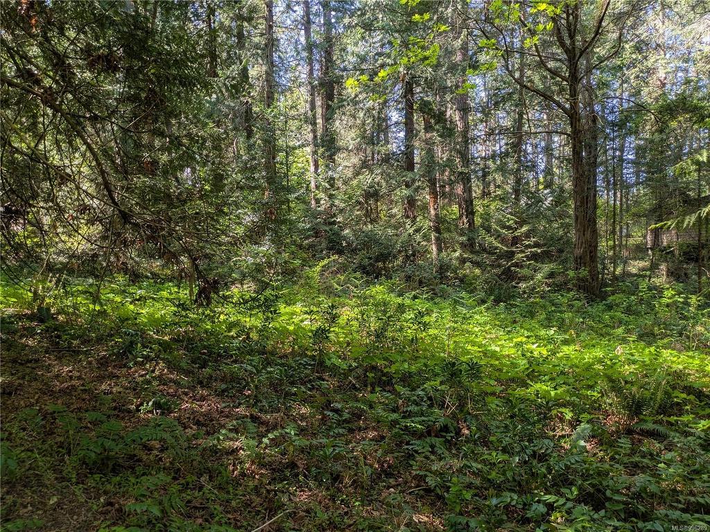









35


Captain Morgans

Blvd,
Protection Island,







BC
V9R 6R1

