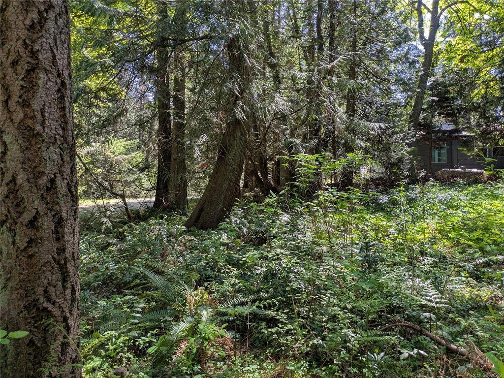 









35


Captain Morgans

Blvd,
Protection Island,







BC
V9R 6R1

