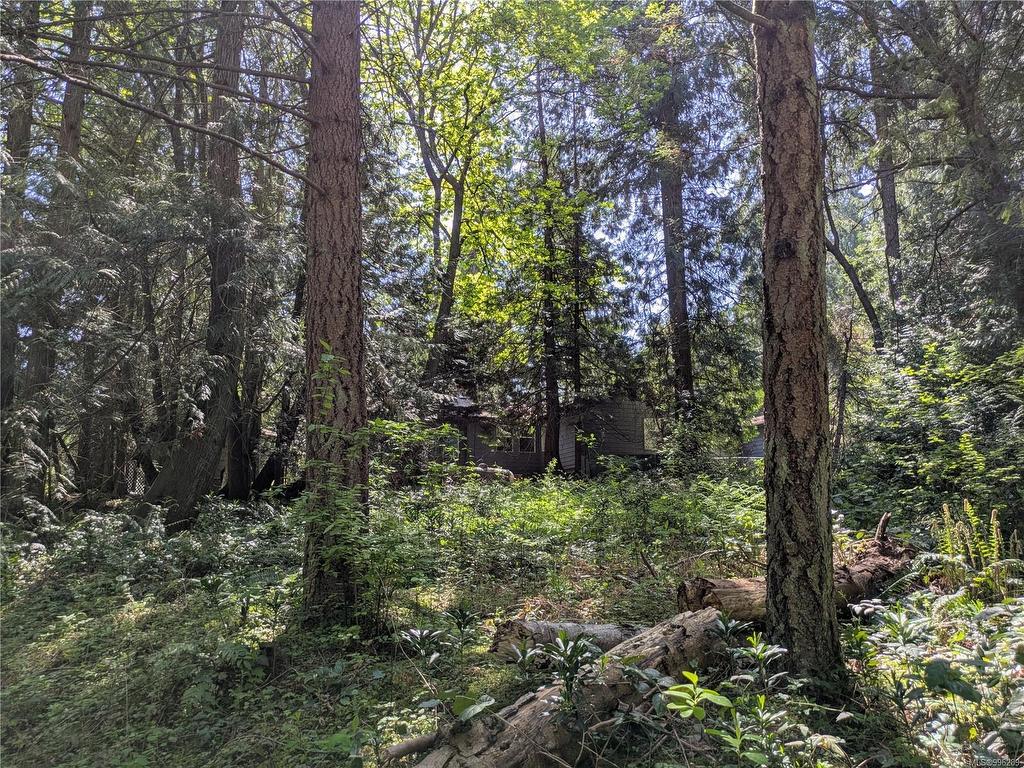 









35


Captain Morgans

Blvd,
Protection Island,







BC
V9R 6R1

