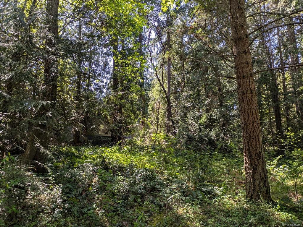 









35


Captain Morgans

Blvd,
Protection Island,







BC
V9R 6R1

