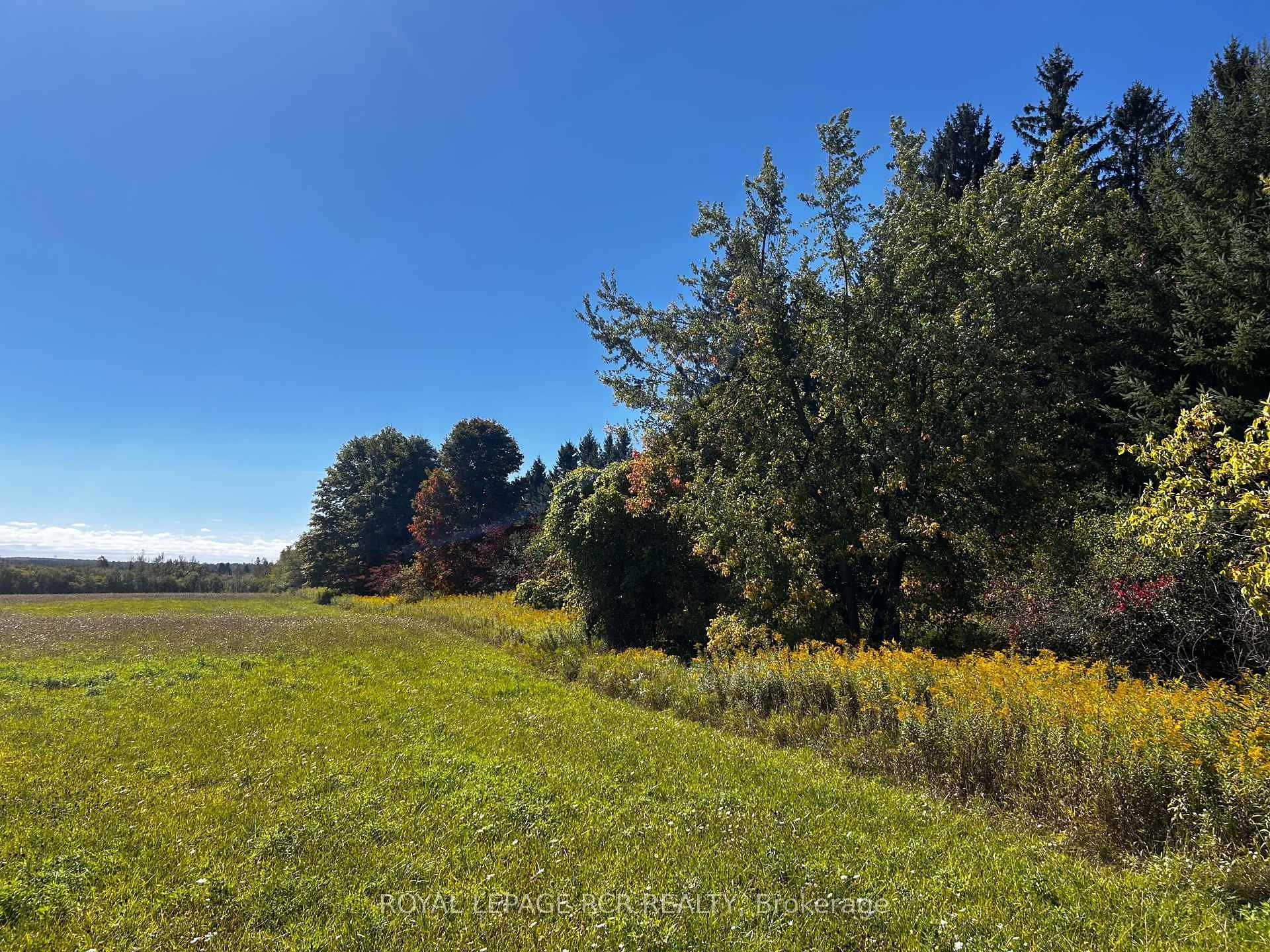 









PtLt 20


Con 8 (9th Line)

N/A,
Amaranth,







ON
L9W 0H4

