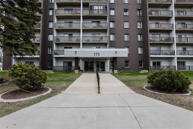 









175


Pulberry

ST, 806,
Winnipeg,




MB
R2M 3X6

