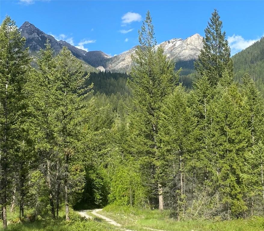 









2800


WHITE RAM FOREST SERVICE

Road,
Skookumchuck,







BC
V0B 2E0

