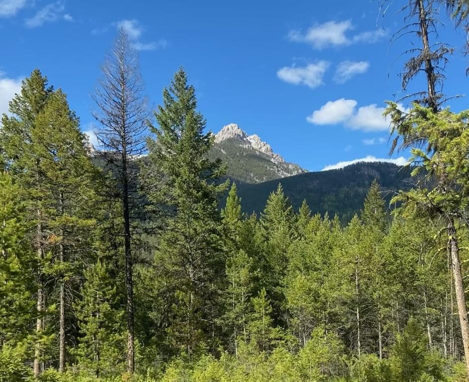









2800


WHITE RAM FOREST SERVICE

Road,
Skookumchuck,







BC
V0B 2E0


