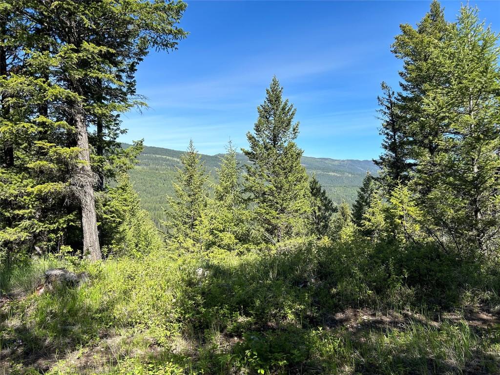 









2800


WHITE RAM FOREST SERVICE

Road,
Skookumchuck,







BC
V0B 2E0

