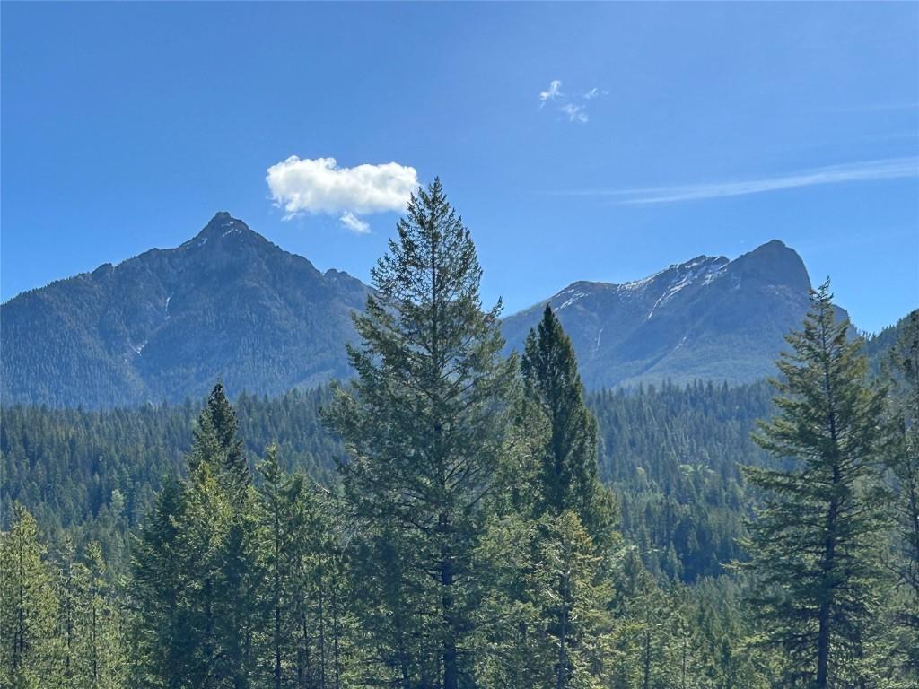 









2800


WHITE RAM FOREST SERVICE

Road,
Skookumchuck,







BC
V0B 2E0

