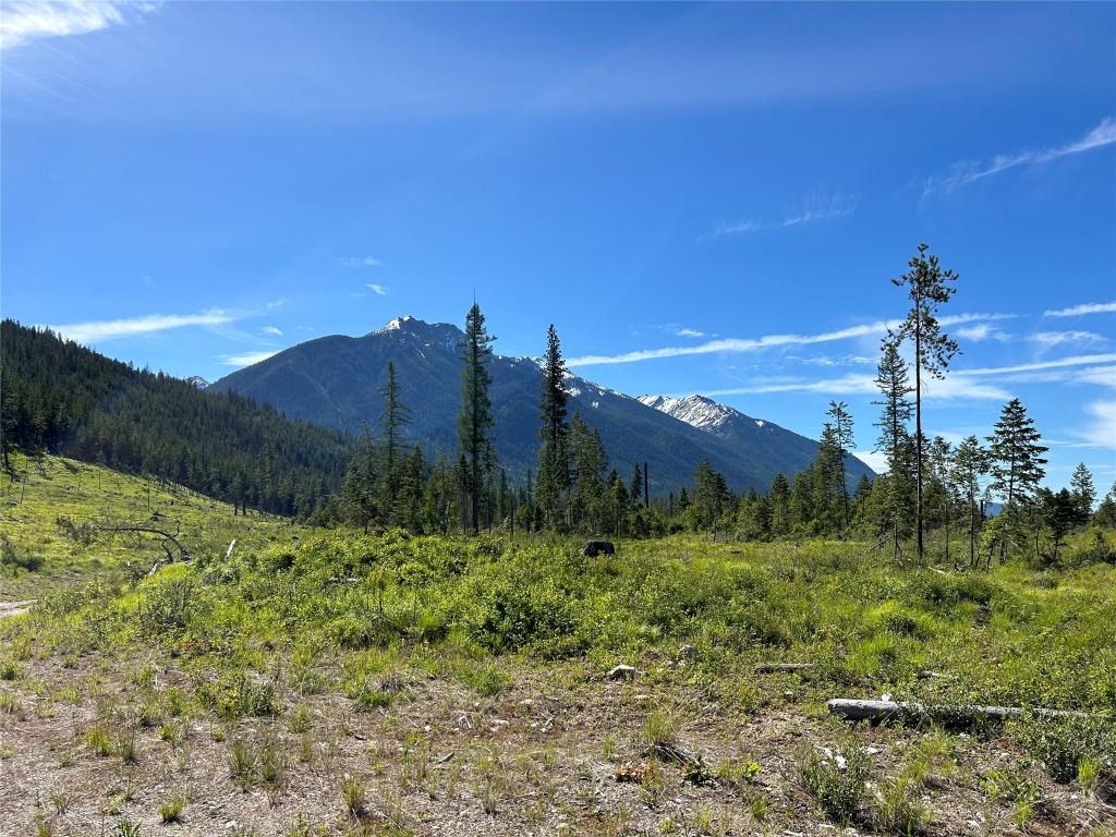 









2800


WHITE RAM FOREST SERVICE

Road,
Skookumchuck,







BC
V0B 2E0

