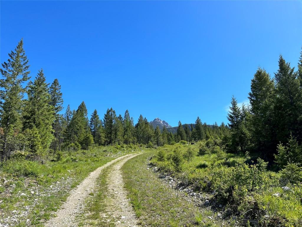 









2800


WHITE RAM FOREST SERVICE

Road,
Skookumchuck,







BC
V0B 2E0

