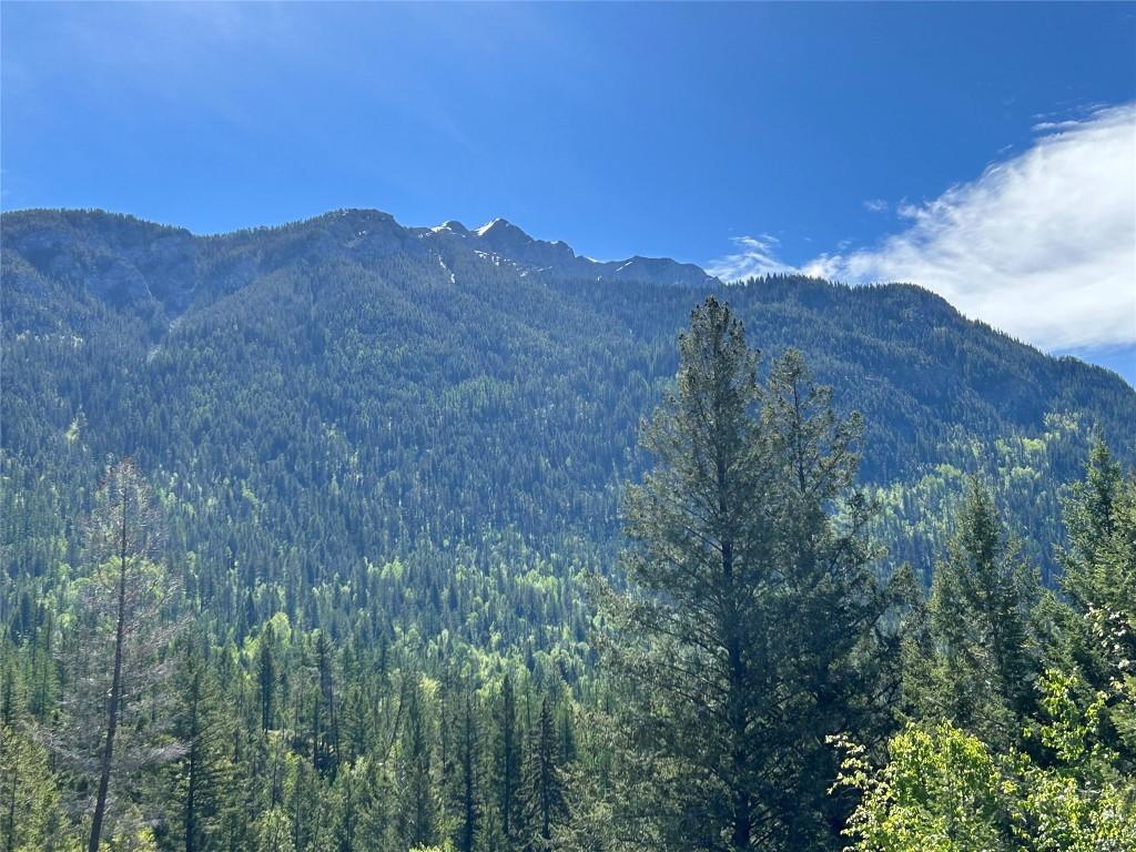 









2800


WHITE RAM FOREST SERVICE

Road,
Skookumchuck,







BC
V0B 2E0

