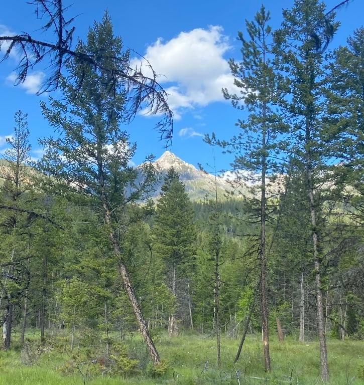 









2800


WHITE RAM FOREST SERVICE

Road,
Skookumchuck,







BC
V0B 2E0

