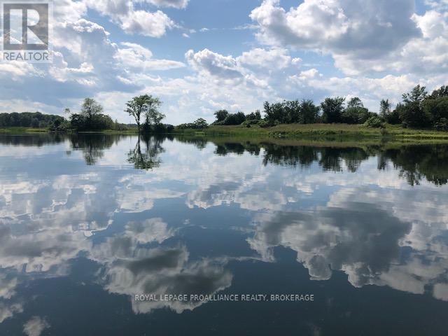 












4808 LEO LAKE ROAD

,
Kingston (City North of 401),




Ontario
K0H2N0

