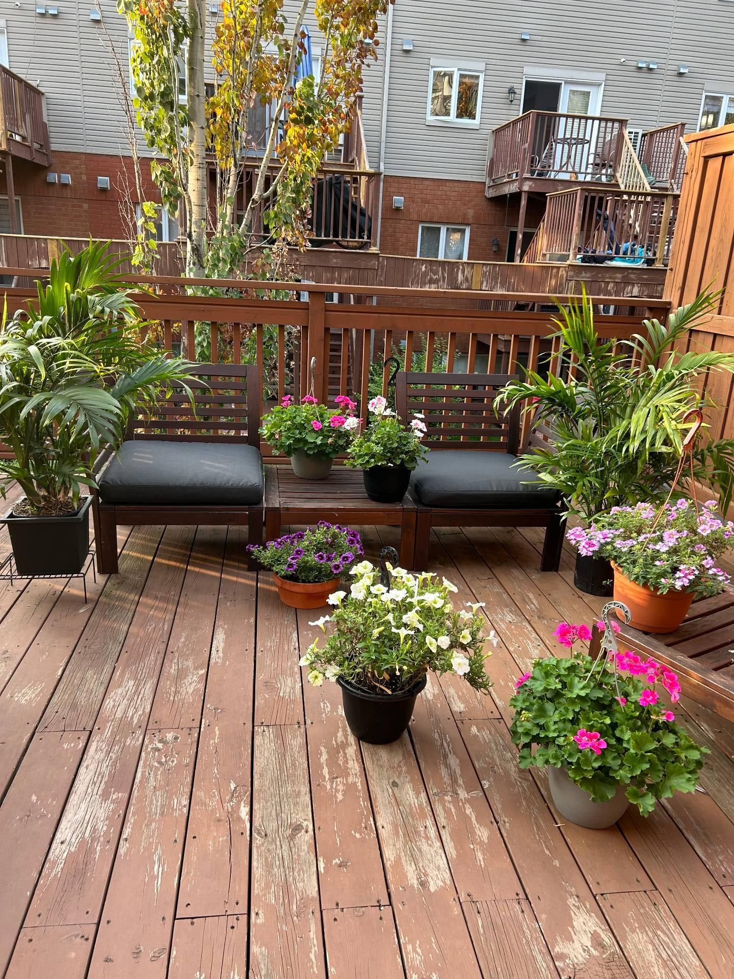 









402Z


Rue Étienne-Lavoie

,
Laval (Sainte-Dorothée),




QC
H7X0B8


