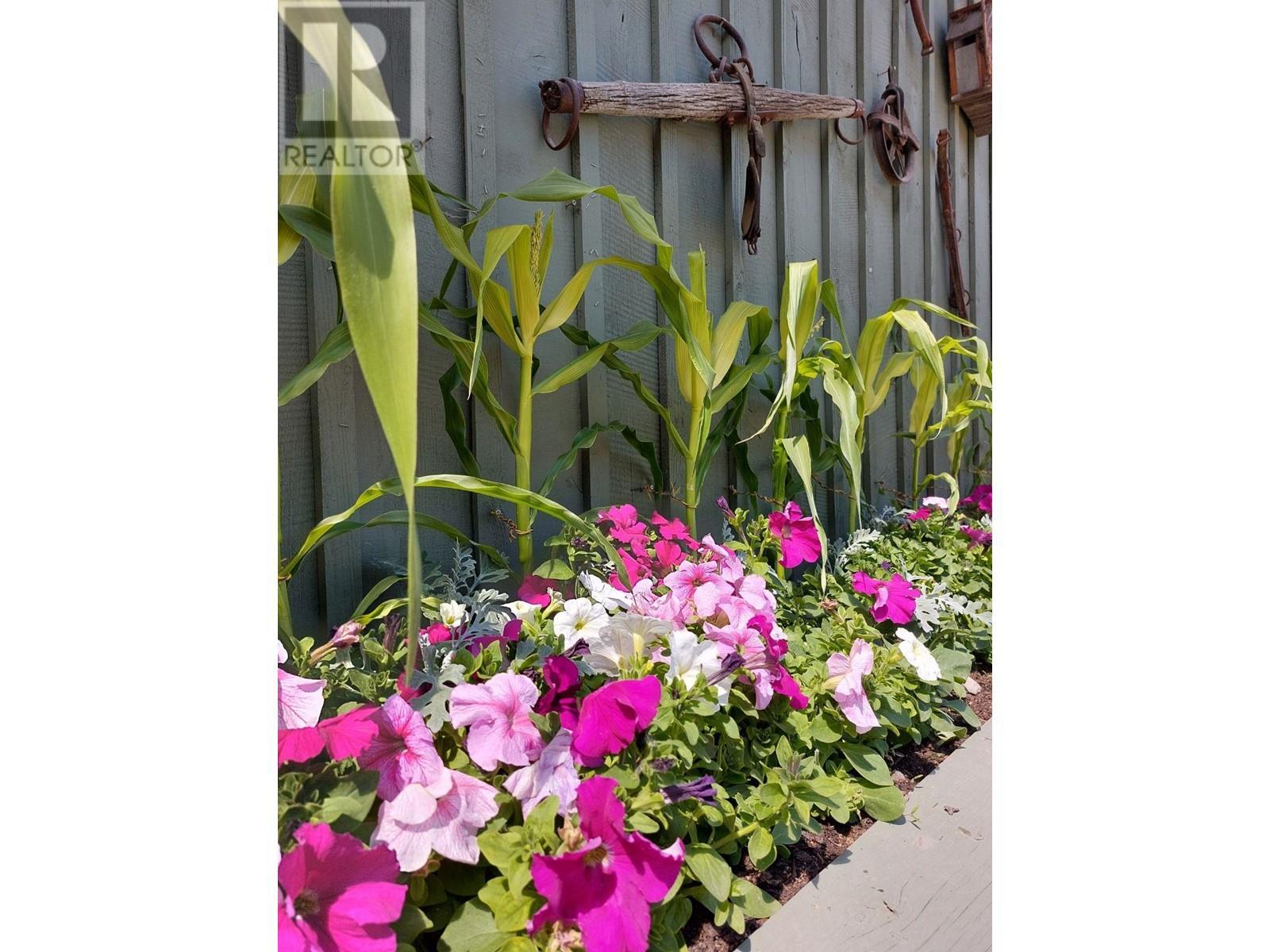 












6594 FOOTHILLS ROAD

,
100 Mile House,




British Columbia
V0K2E3

