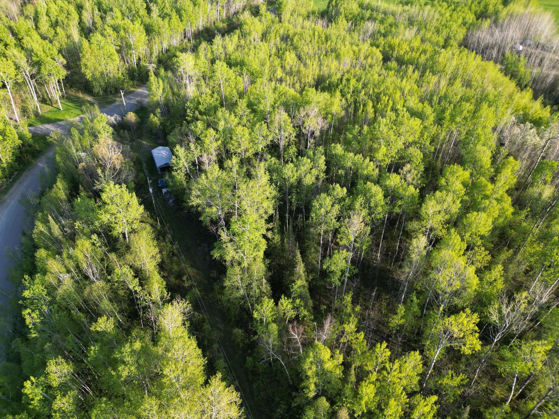 









528


Ch. du Lac-Cameron

,
Saint-Eugène-de-Guigues,




QC
J0Z3L0

