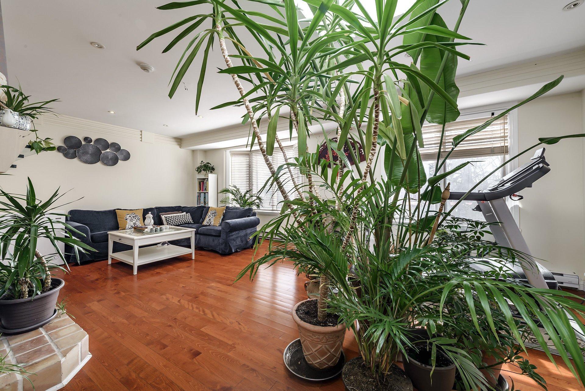 









5011


Ch. Mira

,
Montréal (Côte-des-Neiges/Notre-Dame-de-Grâce),




QC
H3W2B9


