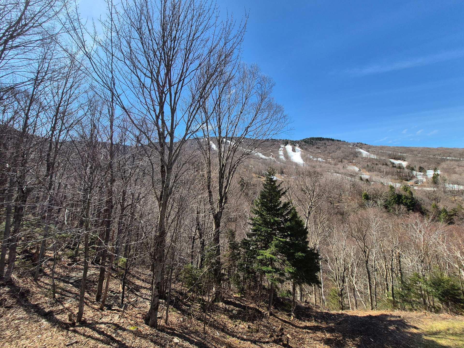 









575


Ch. Réal

, 409,
Sutton,




QC
J0E2K0

