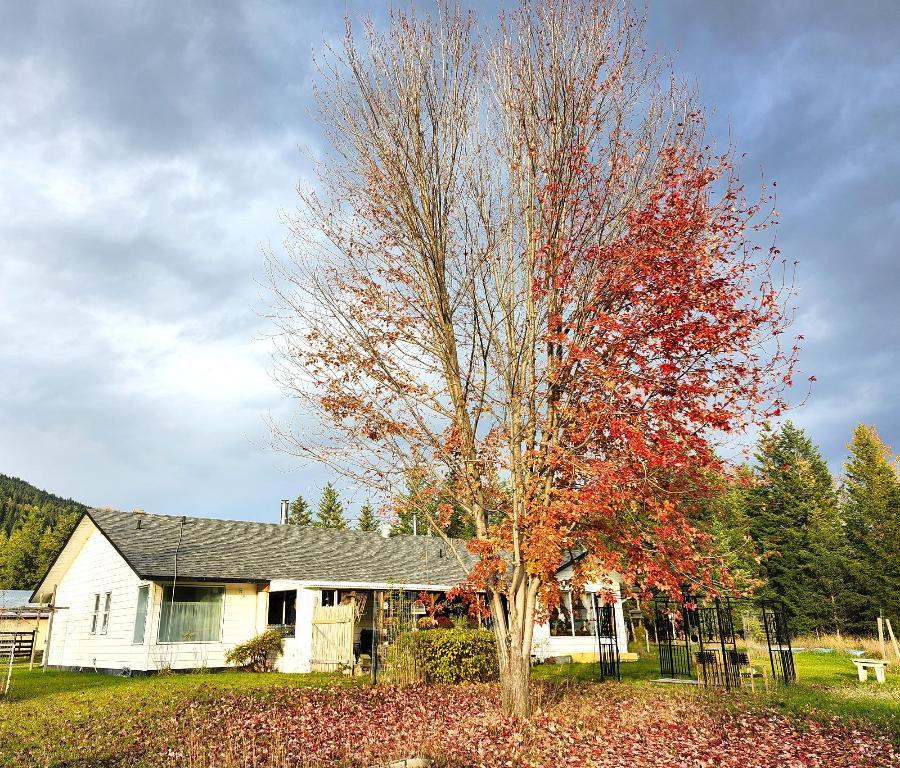 









3056


HARMON

Road,
Clearwater,




BC
V0E 3A0

