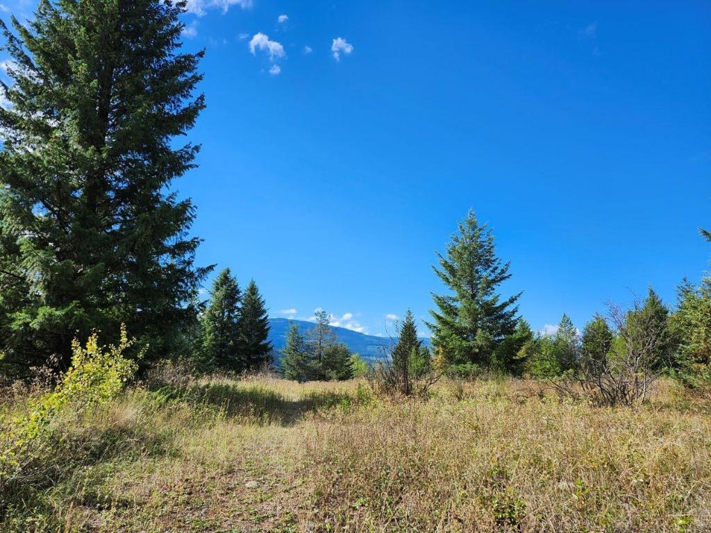 









3056


HARMON

Road,
Clearwater,




BC
V0E 3A0


