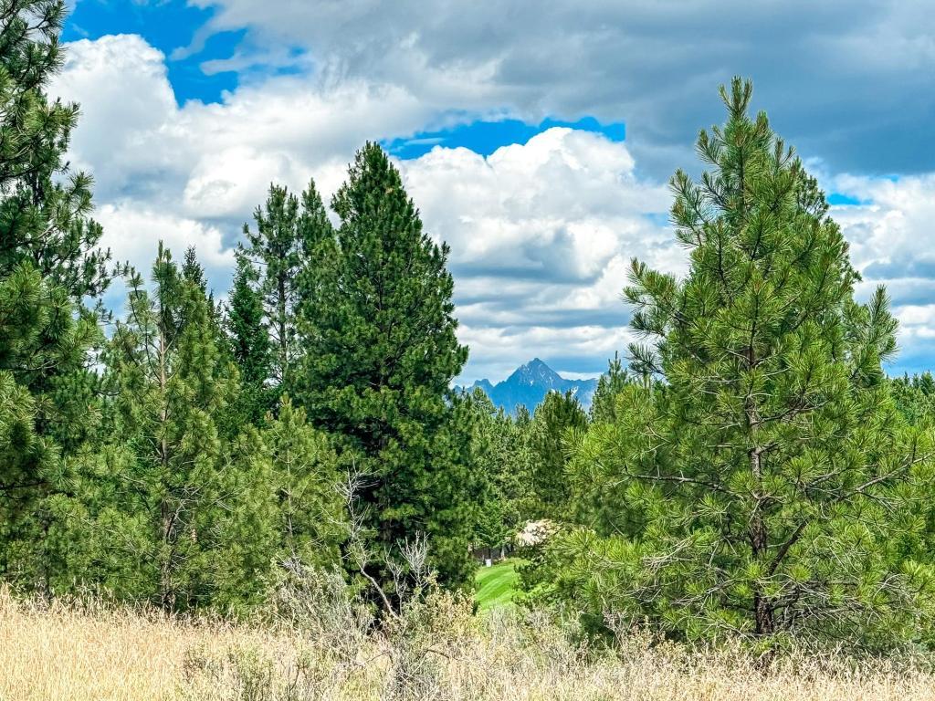 









337


CORRAL

Close,
Cranbrook,







BC
V1C 0C2

