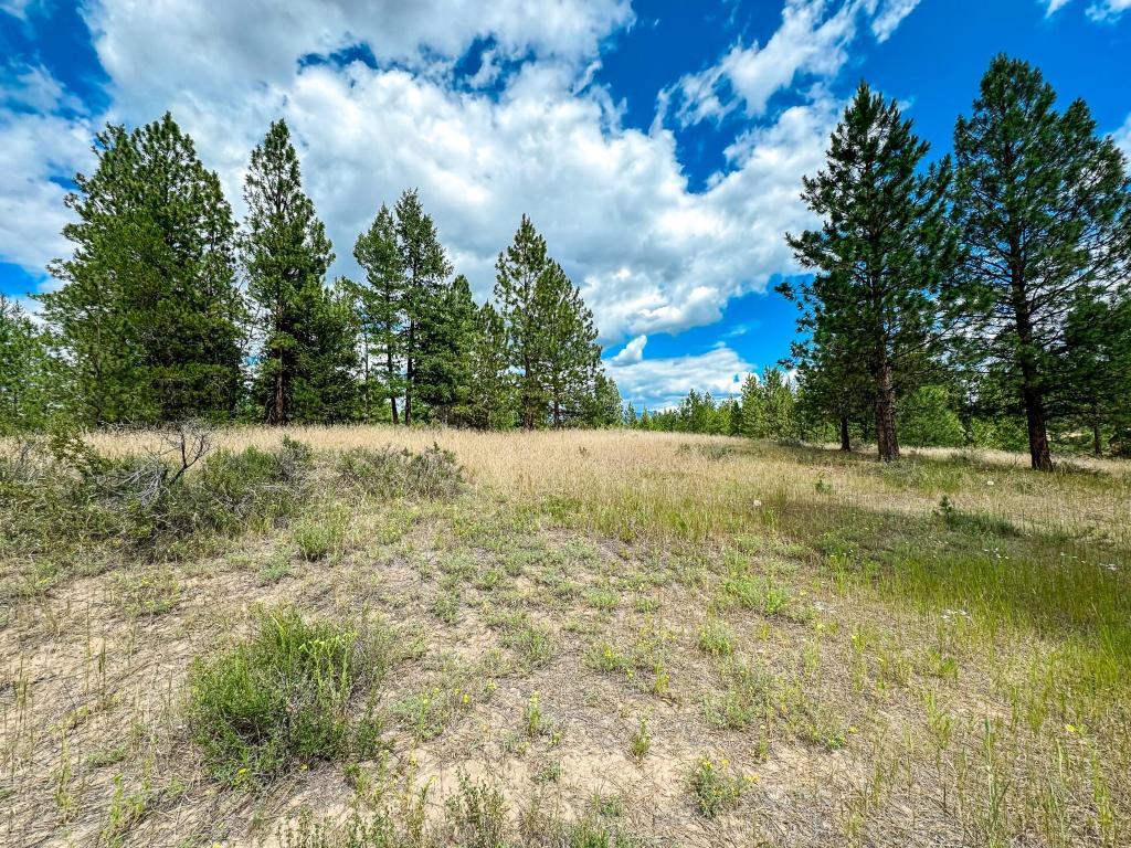 









337


CORRAL

Close,
Cranbrook,







BC
V1C 0C2

