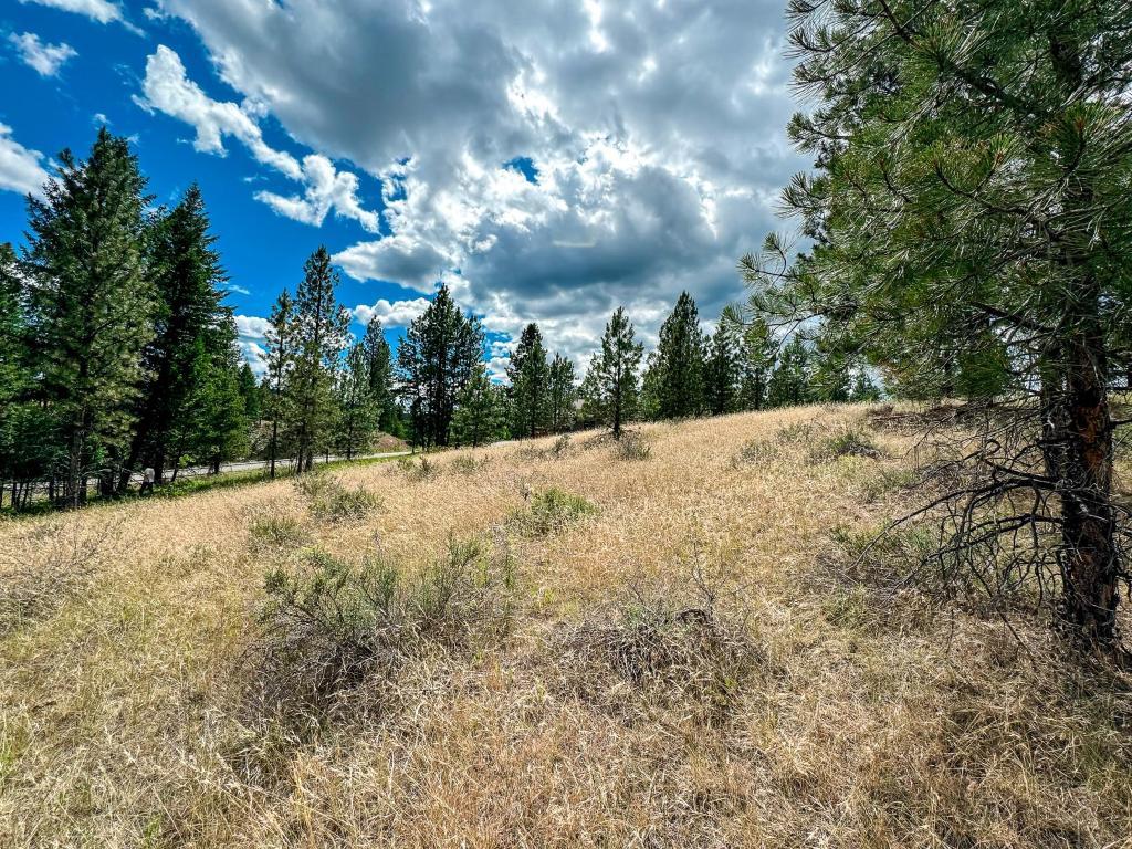 









337


CORRAL

Close,
Cranbrook,







BC
V1C 0C2

