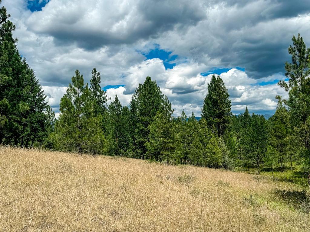 









337


CORRAL

Close,
Cranbrook,







BC
V1C 0C2

