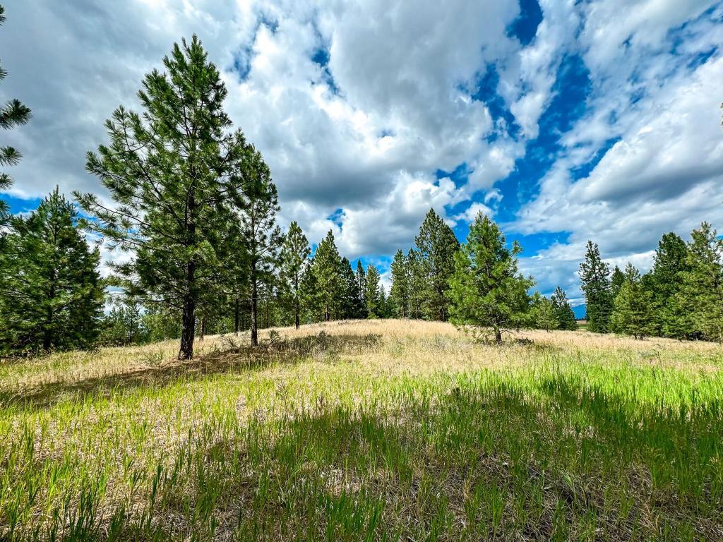 









337


CORRAL

Close,
Cranbrook,







BC
V1C 0C2

