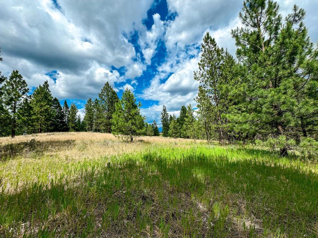









337


CORRAL

Close,
Cranbrook,







BC
V1C 0C2

