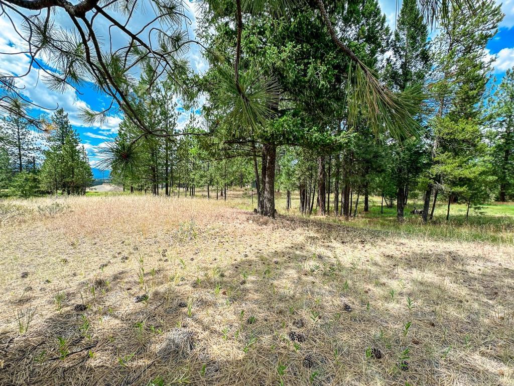 









337


CORRAL

Close,
Cranbrook,







BC
V1C 0C2

