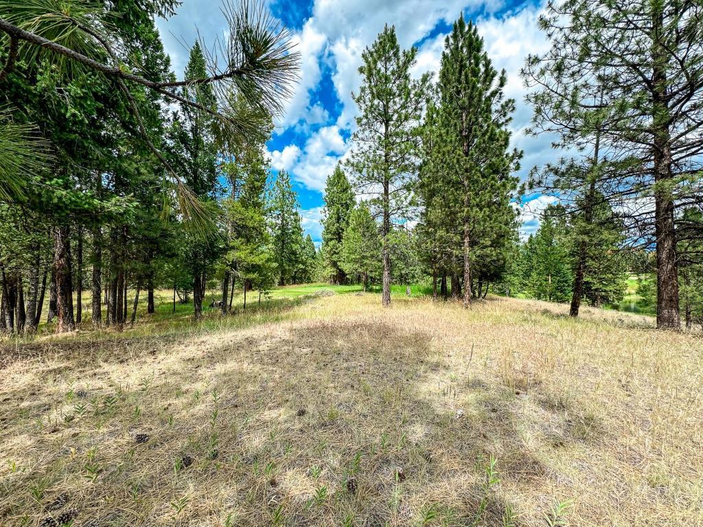 









337


CORRAL

Close,
Cranbrook,







BC
V1C 0C2

