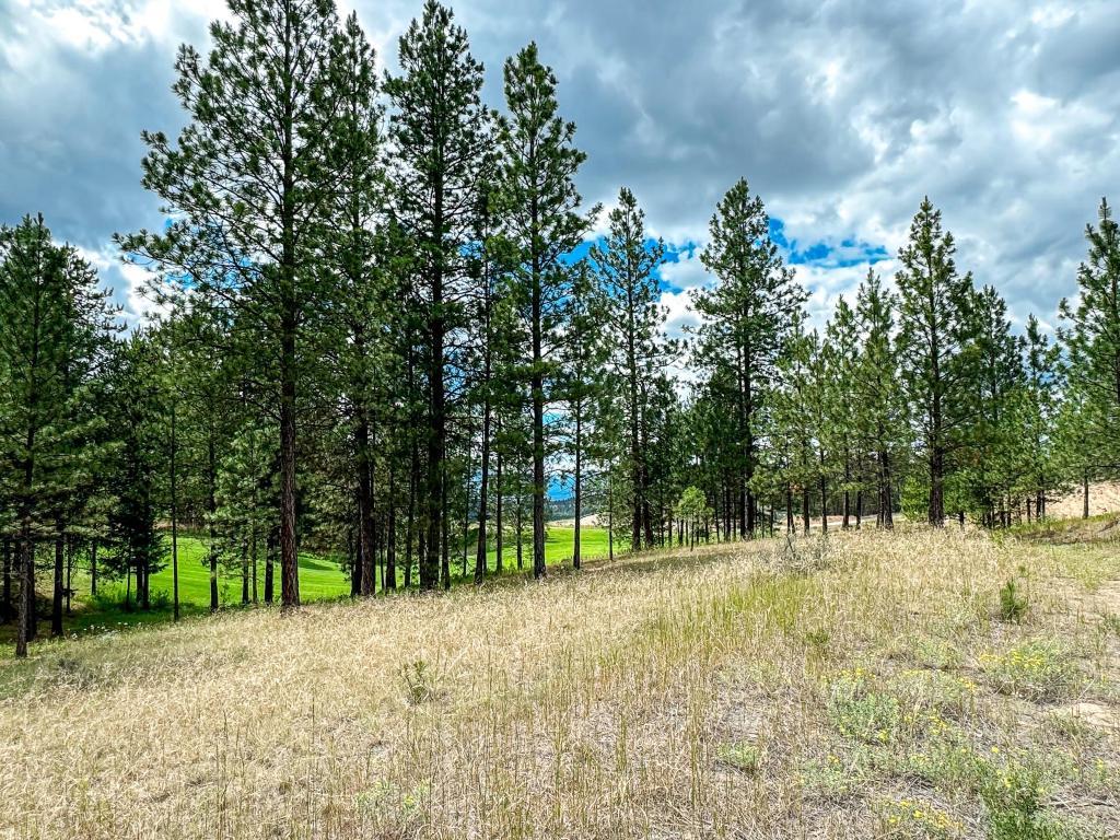 









337


CORRAL

Close,
Cranbrook,







BC
V1C 0C2

