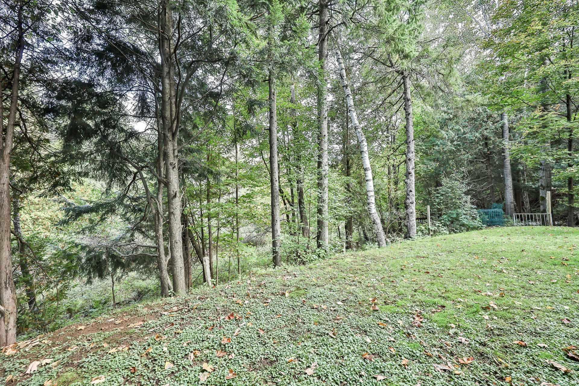 









19


Rue Martel

,
Ripon,




QC
J0V1V0

