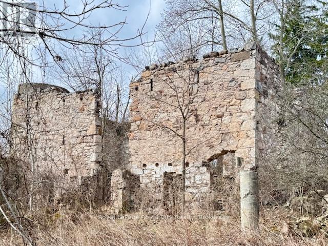 












156 BARDEN STREET

,
Guelph/Eramosa,







Ontario
N0B1P0

