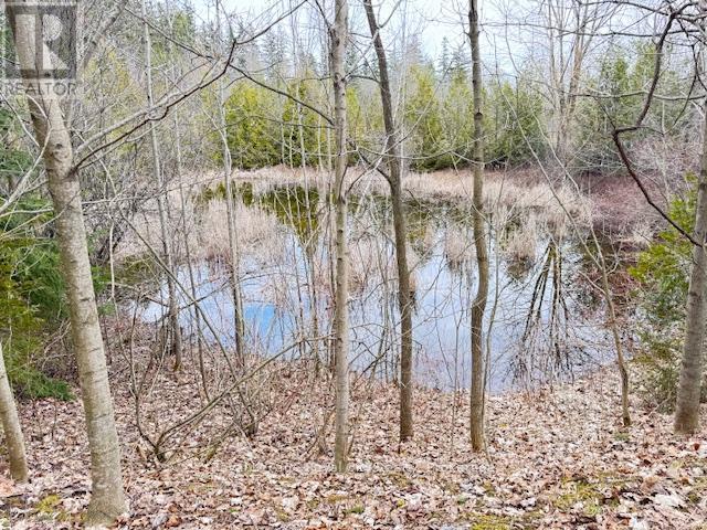 












156 BARDEN STREET

,
Guelph/Eramosa,







Ontario
N0B1P0

