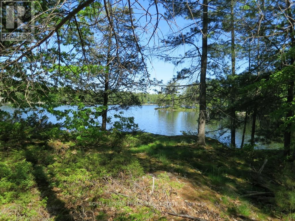 












0 HORSESHOE ISLAND

,
North Kawartha,







Ontario
K0L2H0

