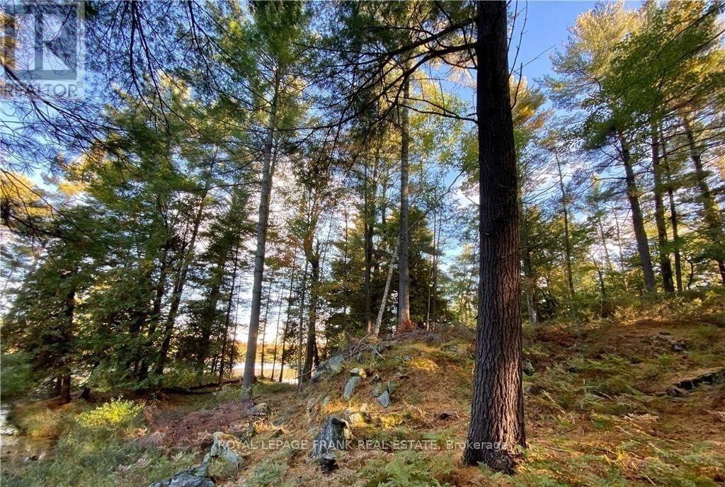












0 HORSESHOE ISLAND

,
North Kawartha,







Ontario
K0L2H0

