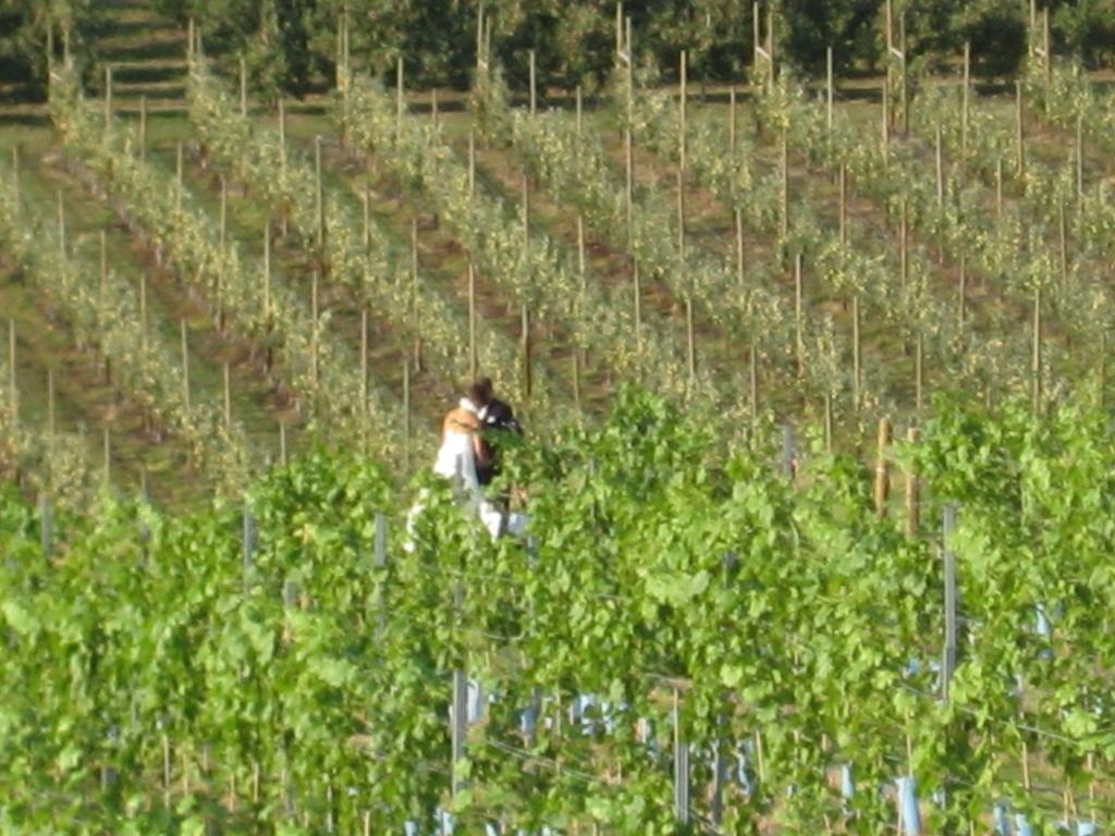 









3240


Pooley

Road,
Kelowna,




BC
V1W 4G7

