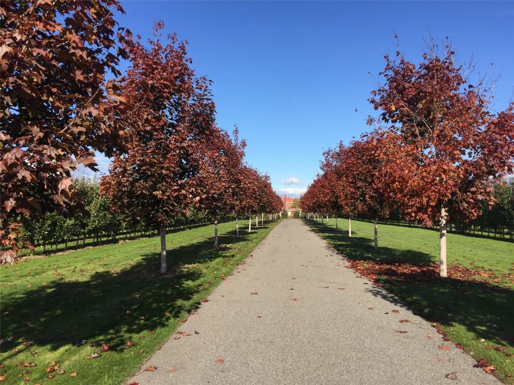 









3240


Pooley

Road,
Kelowna,




BC
V1W 4G7

