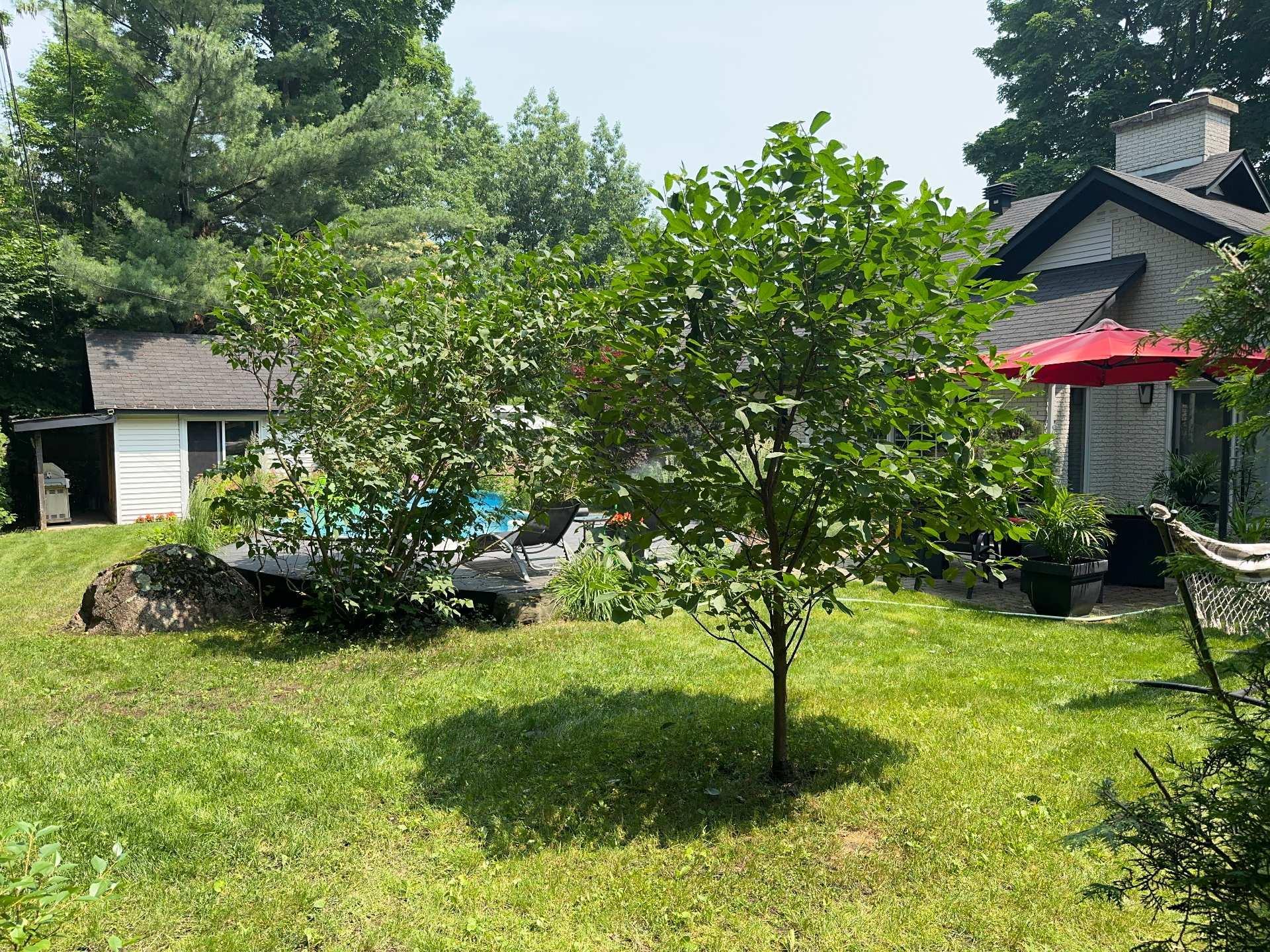 









11


Av. du Mont-St-Bruno

,
Sainte-Julie,




QC
J3E2Z8

