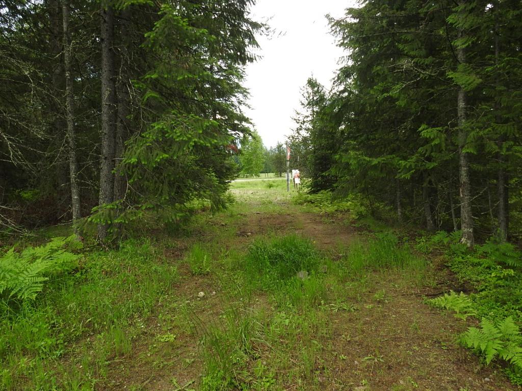 









9700


6

Highway,
Edgewood,







BC
V0G 1J0

