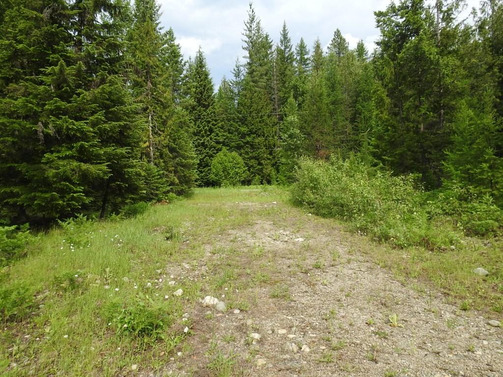 









9700


6

Highway,
Edgewood,







BC
V0G 1J0

