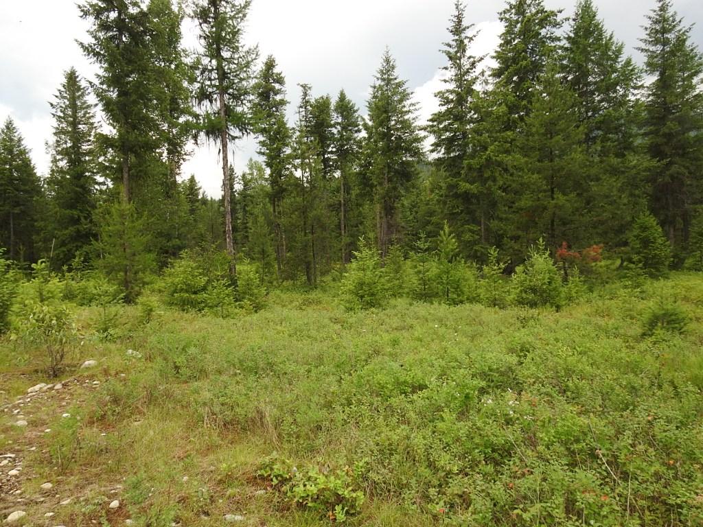









9700


6

Highway,
Edgewood,







BC
V0G 1J0

