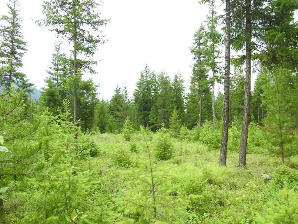 









9700


6

Highway,
Edgewood,







BC
V0G 1J0

