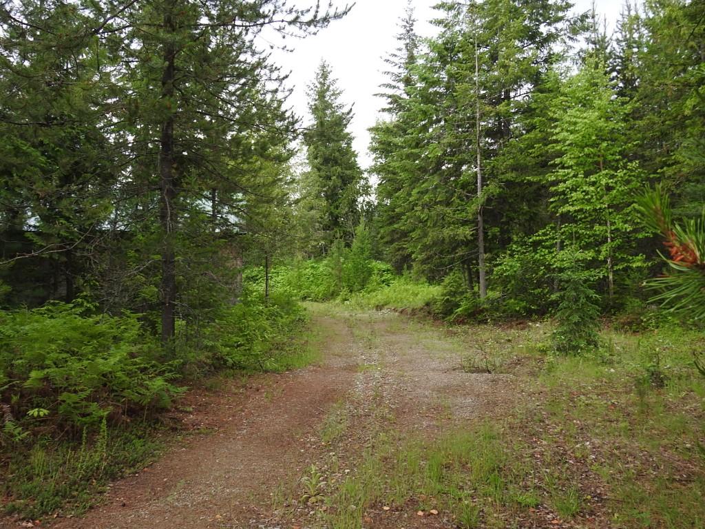 









9700


6

Highway,
Edgewood,







BC
V0G 1J0

