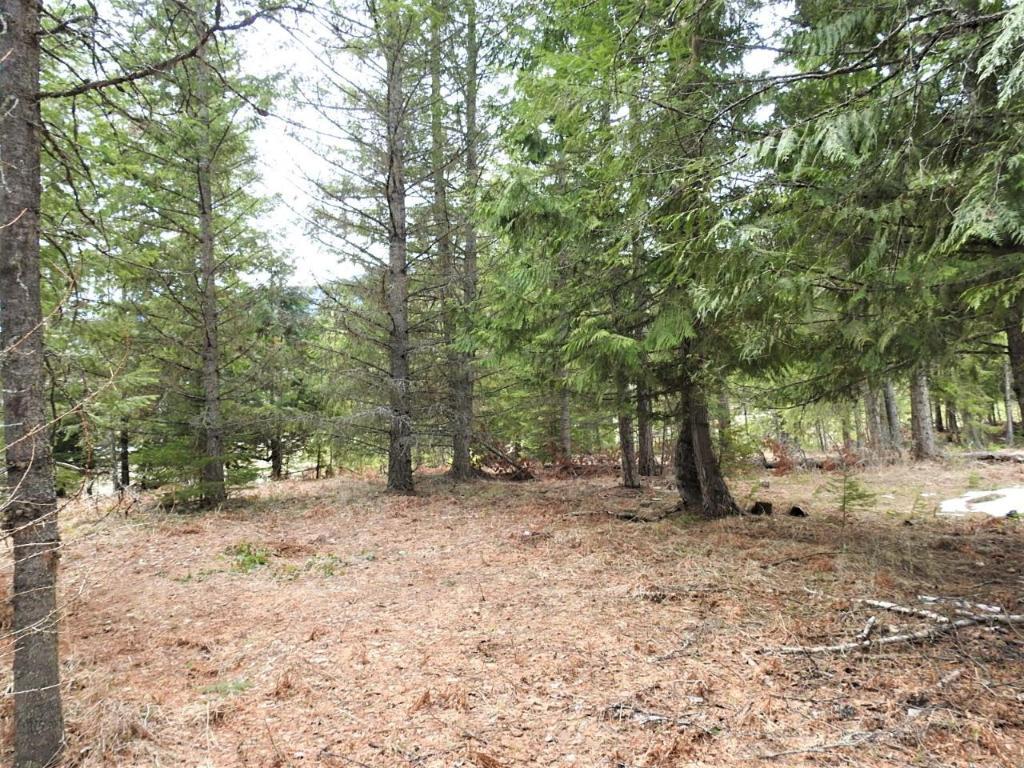 









9700


6

Highway,
Edgewood,







BC
V0G 1J0

