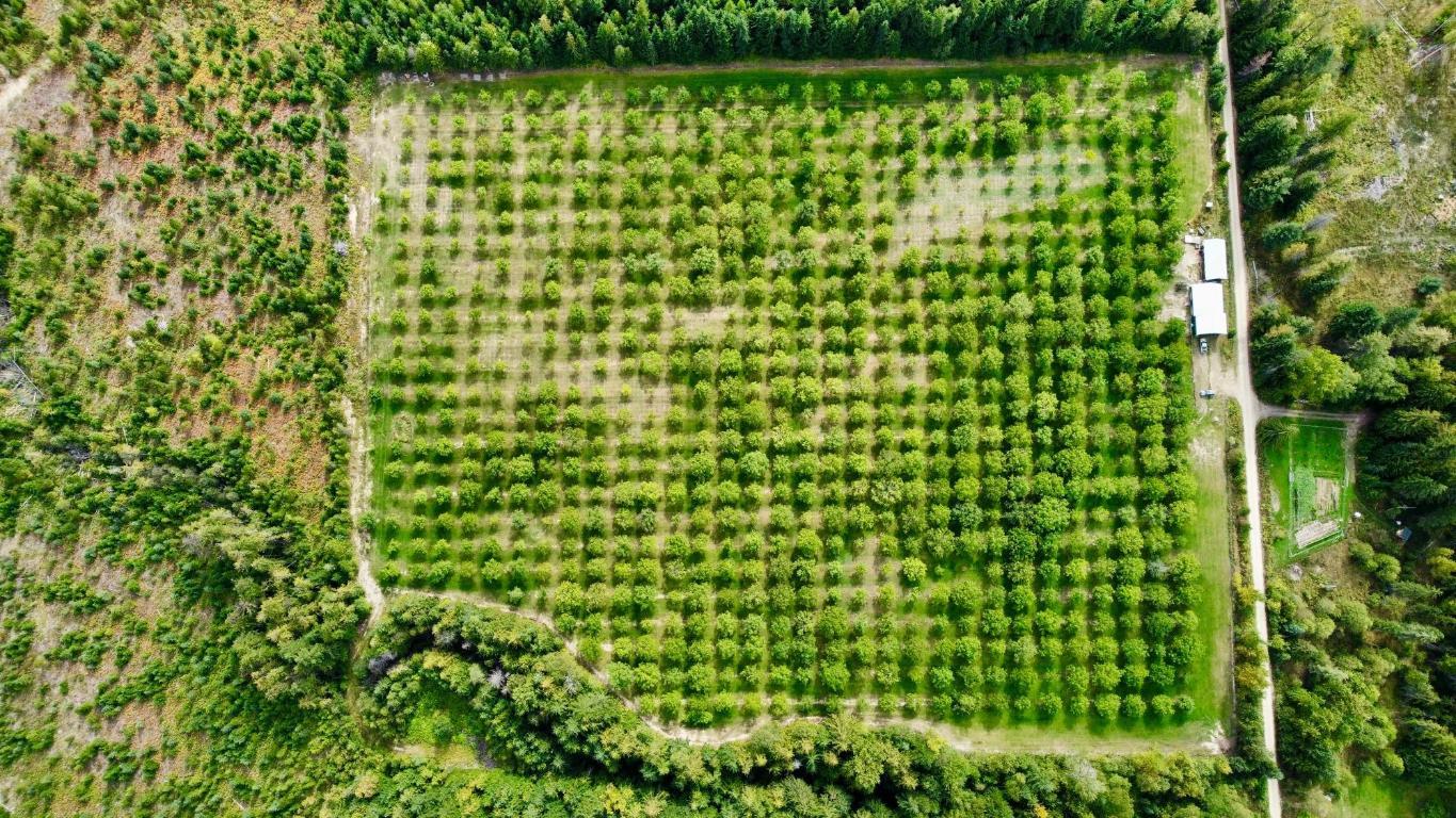 









Lots 71-72


HARRISON

Road,
Arrow Park,




BC
V0G 1R1

